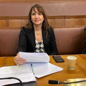 Avvocato Antonella Follieri a Roma