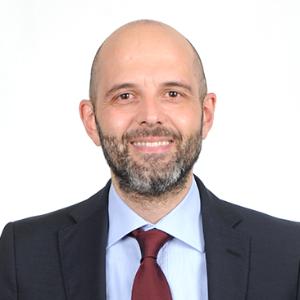 Avvocato Angelo Ippoliti a Roma