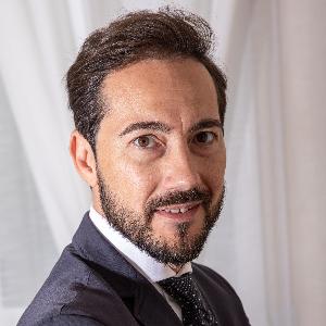 Avvocato Luca Palmerini a Roma