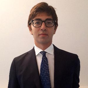 Avvocato Giulio Vitellozzi a Roma