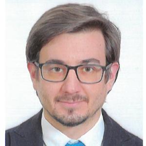 Avvocato Vincenzo D'avino a Roma